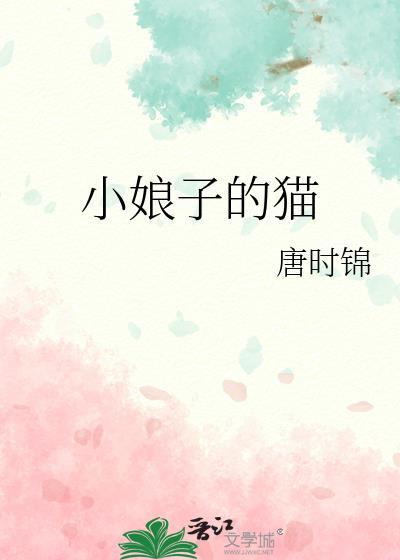 小娘子是谁