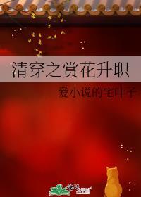 清穿之赏花升职百度