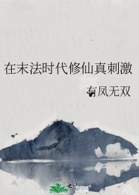 末法时代的修道者吧