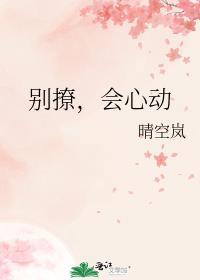 会心动晴空岚