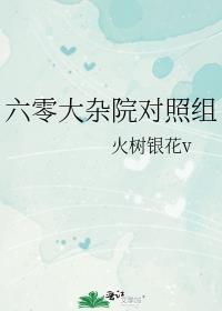 六零大杂院对照组林阿律