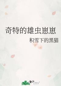 奇特的雄虫崽崽积雪下的黑猫