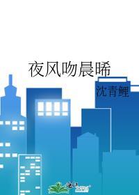 夜风吻晨晞在线阅读