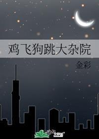 鸡飞狗跳大杂院全文阅读