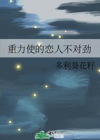 重力使是第几本