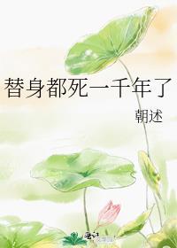 替身一口气看完