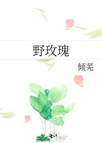 野玫瑰湾的书