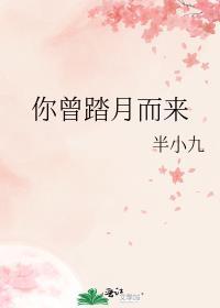 曾经踏月而来