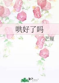 哄好了吗晋江