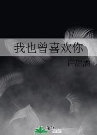 我也曾喜欢你歌曲