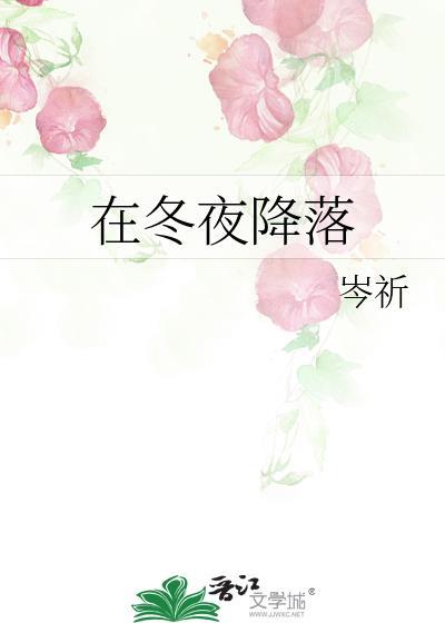 在冬夜降落txt百度