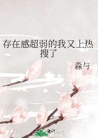 存在感太低了