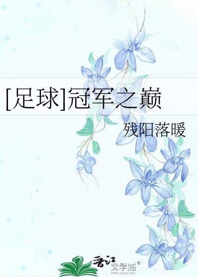 足球之冠军之巅