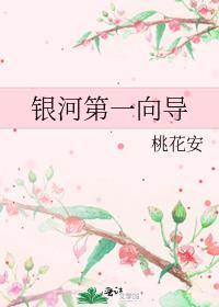 银河第一向导番外资源