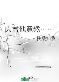 夫君他才貌双全免费阅读