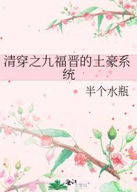 清穿之九福晋日常全文免费阅读