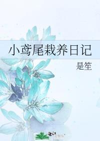 小鸢尾栽养日记全文免费阅读