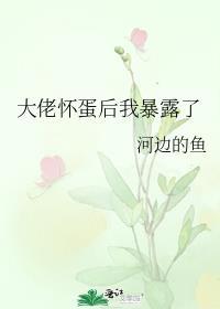 怀了大佬的崽后我一夜爆红