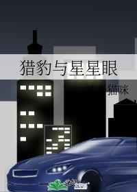 猎豹与星星眼百度