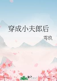 穿成小夫郎文推荐