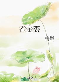 红楼梦病补雀金裘
