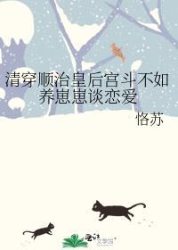 有关顺治的清穿