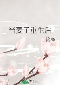 重生后老婆变成了男人