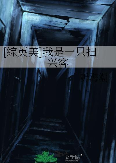 综英美我是一只扫兴客TXT