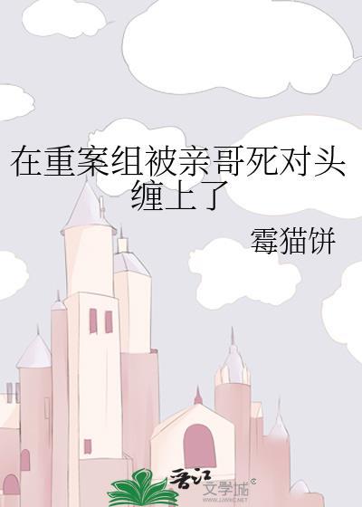 我在重案组的那些日子