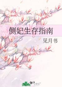 侧妃成长记