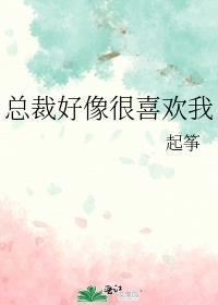 总裁好像很喜欢我by起筝txt