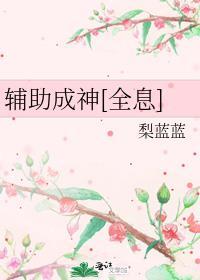 辅助的