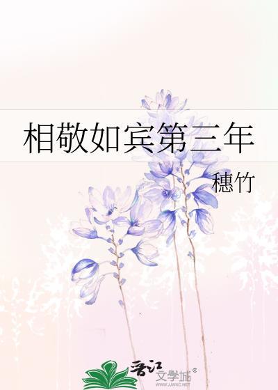 相敬如宾第三年全文免费阅读