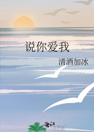 说你爱我的歌词