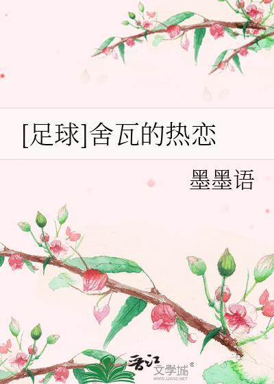舍瓦什么时候退役