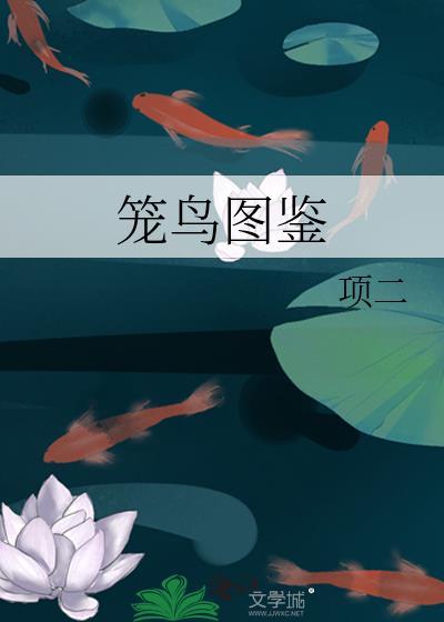 笼鸟图鉴项二txt