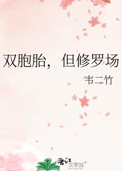 双胞胎主角