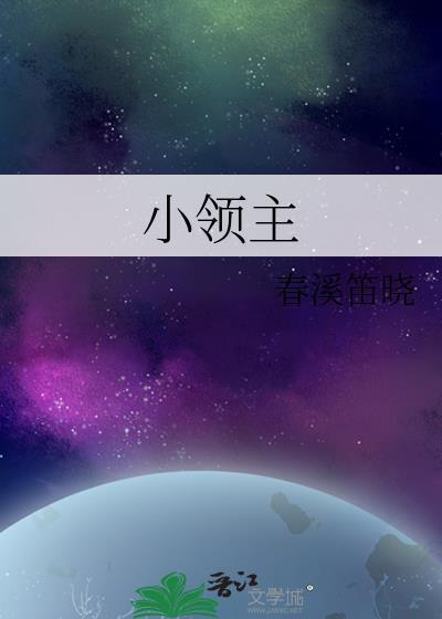 小领主轻坦