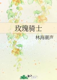 玫瑰骑士电视剧演员表