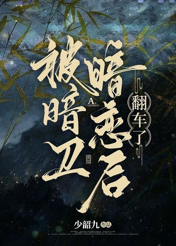 暗卫被敌人抓