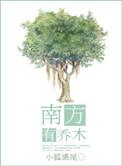 南有乔木攻略