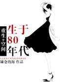 重生80年代空间文