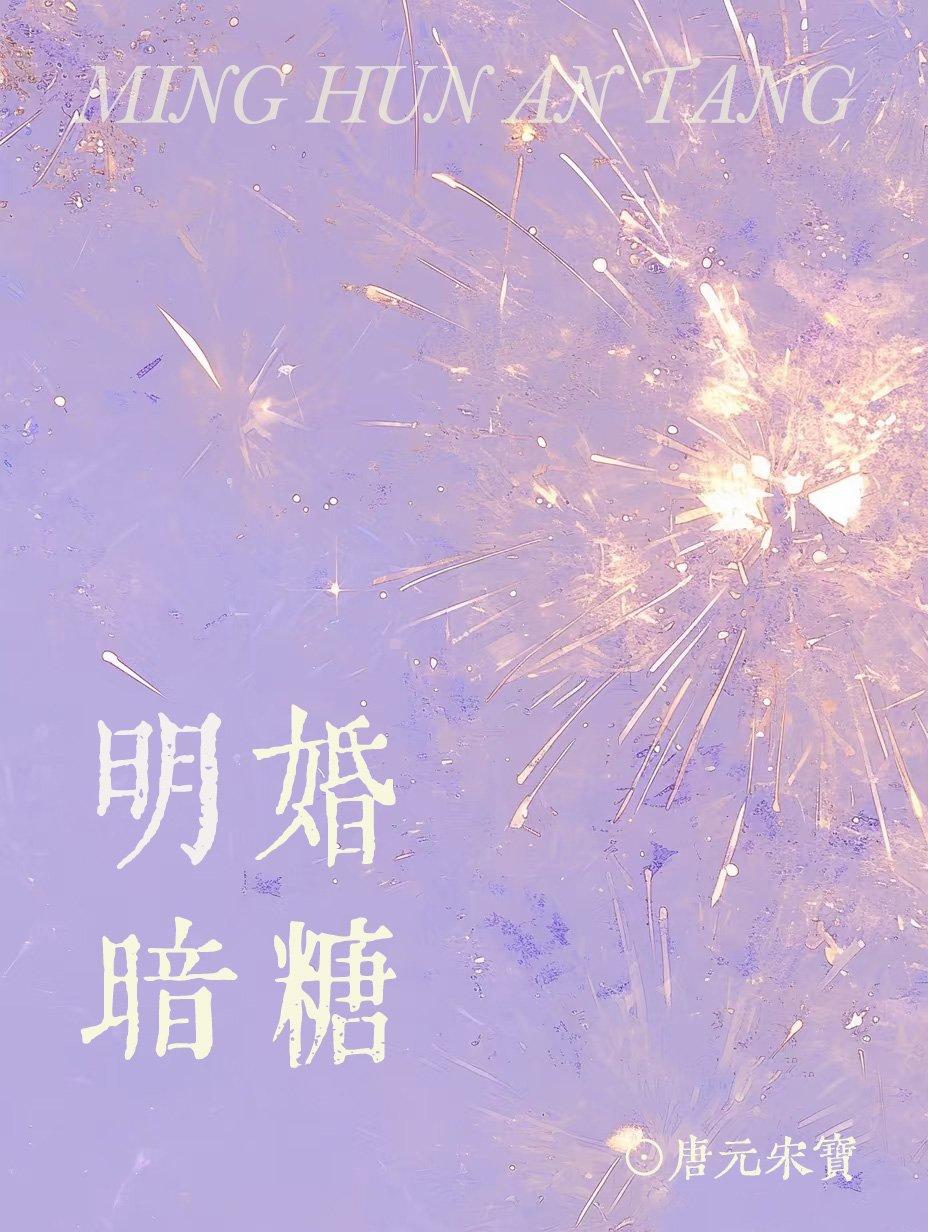 明婚暗糖txt
