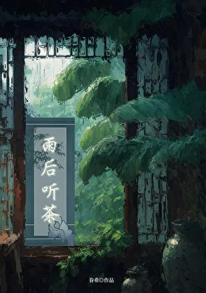 雨后听茶穿书46