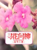 何处寻真想
