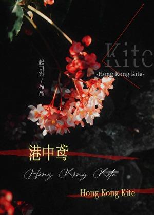 港中鸢起司霓笔趣阁最新章节