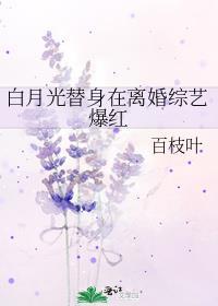 白月光替身女主