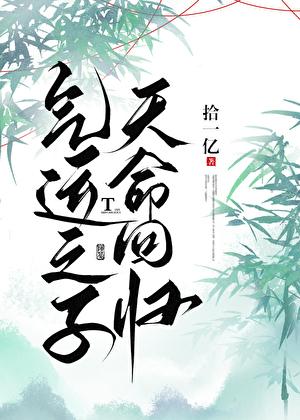 天命回归资源