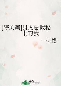 综英美身为总裁秘书的我txt
