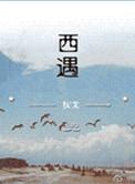 西遇美容